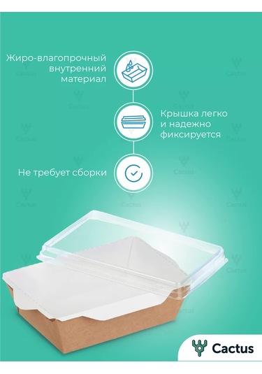 Cactus Tek Kullanımlık Trifle Kutuları, 800 Ml Gıda Kapları 224868223 100 adet