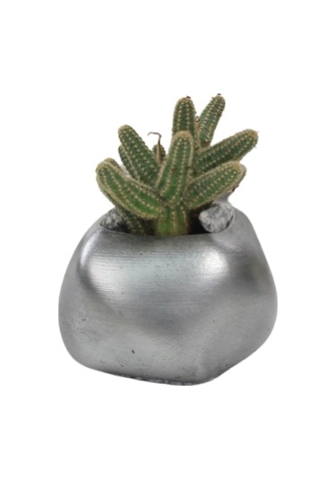 Çiçek Saksısı Dekoratif Kaktüs Saksı 1 Adet Spiral Oval Model - Gümüş Eskitme