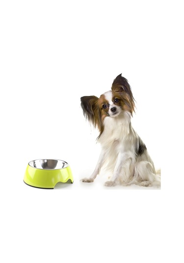 Köpek ve Kedi Evcil Hayvan Besleme Mama Kasesi