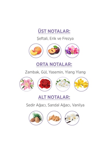 Privacy Limited Edition Kadın Parfüm EDT 3 x 50 ML