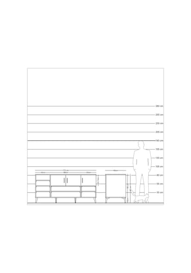 Kronos Konsol 9 Raflı 3 Kapaklı 176x59x83 Çam-çam/antrasit Çam/antrasit
