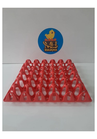 Plastik Yumurta Viyolü 30 Yumurta 4 Adet