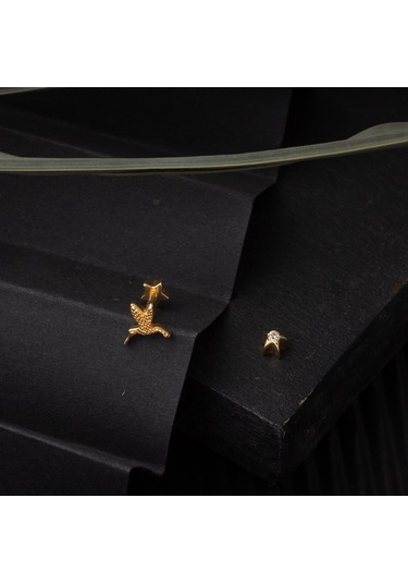 Bilezikci  Minik Kuş 14 Ayar Altın Tragus Küpe Kphss14k22478 Sarı