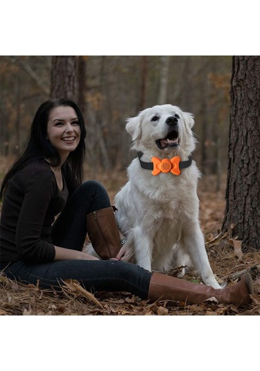 Sones Otomatik Ses Kontrolü Bark Tutucu Yaka Evcil Hayvan Malzemeleri Eğitmeni