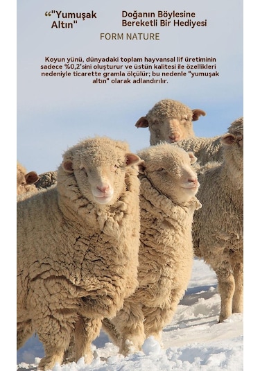 Yün Modal Balıkçı Yaka Örme Kazak Sıcak Alt Gömlek Erkek Kazak Beyaz