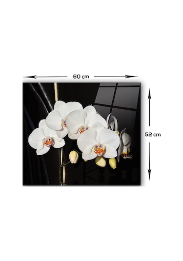 Decorita Orkideli Mutfak | Ocak Arkası Koruyucu | 52cm x 60cm