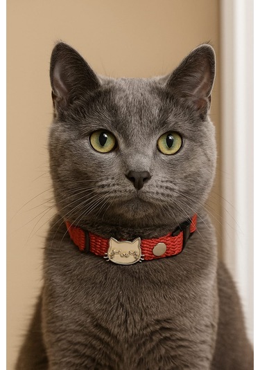 Mıt Kedi Boyun Tasması Kedi Figürlü Kırmızı