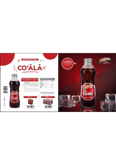 Beypazarı Co Ala Lime Ve Baharat Aromalı Maden Suyu 200 Ml X 24 Adet