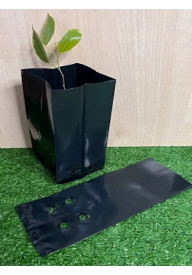 Umnyj Sad Fide Torbaları 3 Litre 100 Adet. 185618538