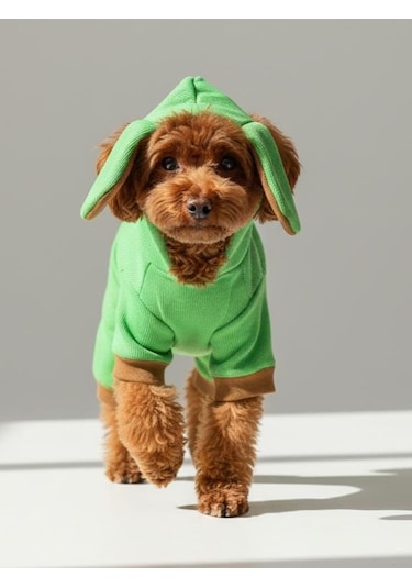 Matcha Bunny Kulaklı Köpek Tulumu Kıyafeti