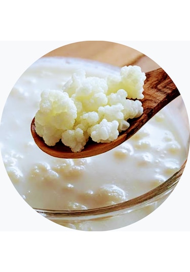 Etik Farma Kefir Mayası Başlangıç Kiti 40 ML