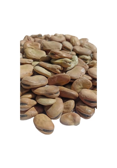Şenler - Kuru Kabuklu Bakla 1 KG - Yeni Mahsül