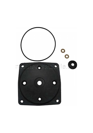Jabsco 37018-0000 Wearplate Kit Düz Motorlu Tip
