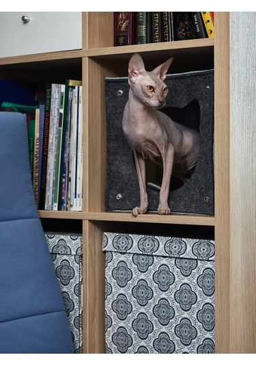 Eva Pets Yataklı Kedi Ve Köpek İçin Labirent Ev 177871237