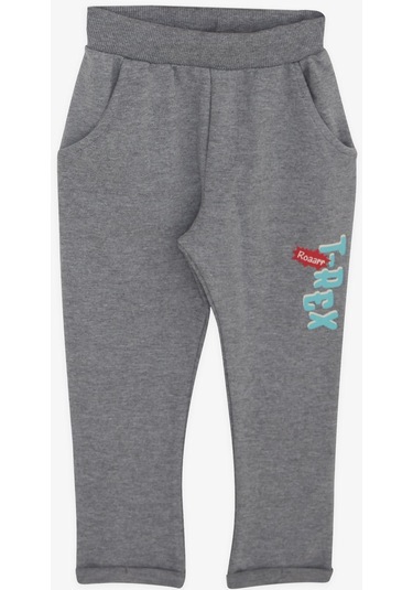 Erkek Bebek Dinazor Baskılı Eşofman Takım-13390-turkuaz Turkuaz