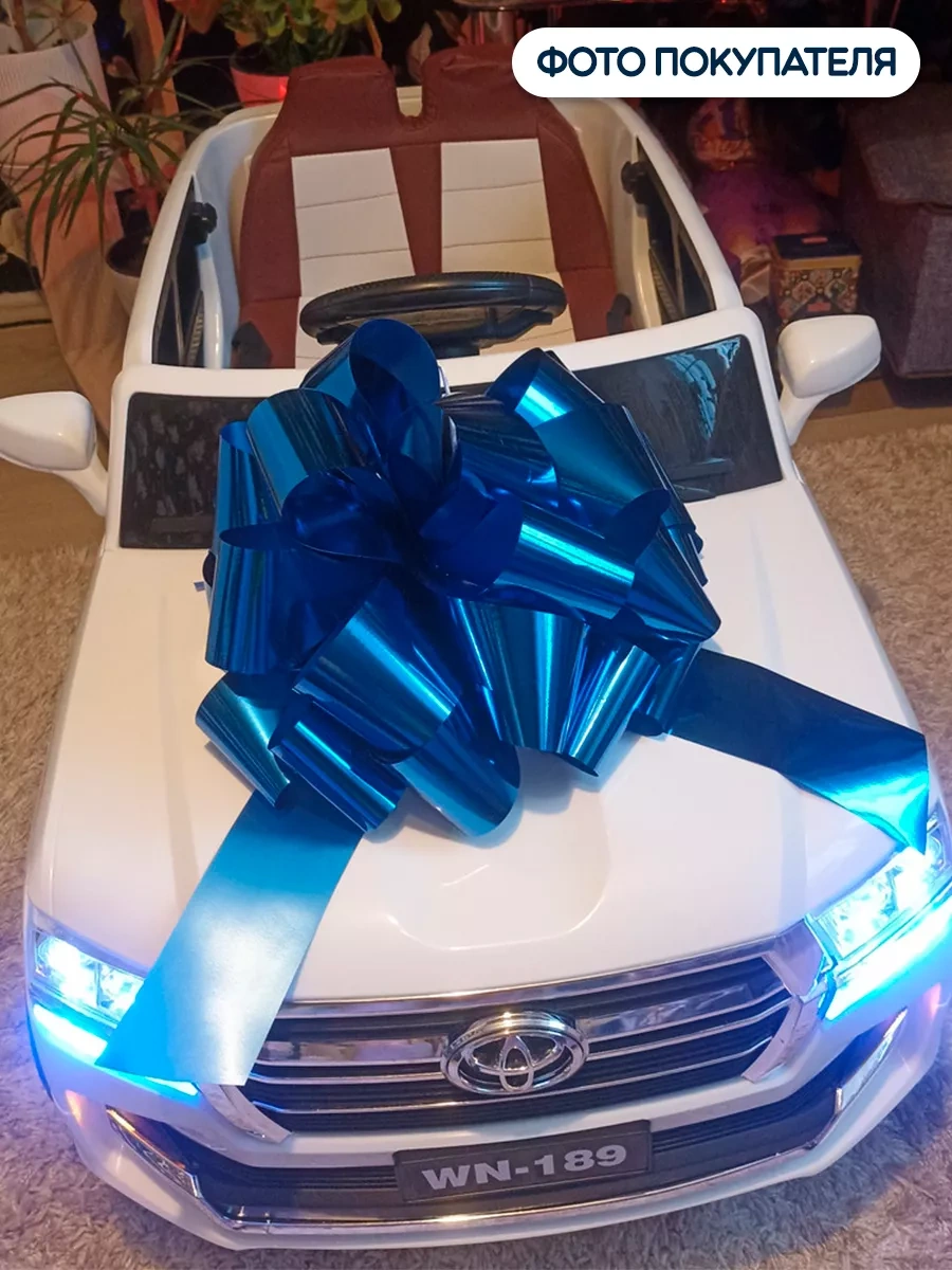 Riota Hediye İçin Büyük Fiyonkla 49858997