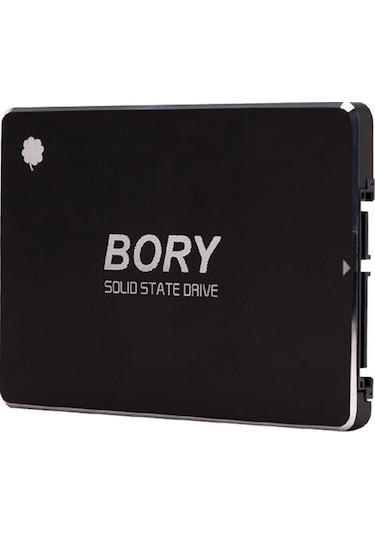 1 TB BORY SATA3 R500-C1T SSD 550/510 MBS (3 YIL GARANTİLİ)