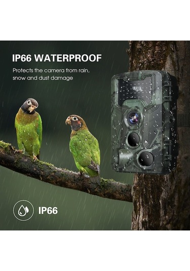 Dancemonkey Kamerası Gece Görüşlü 3 Pır Sensörlü 36mp 1080p İz Ve Av Kamerası Ip66 Su Geçirmez Hareket Yeşil