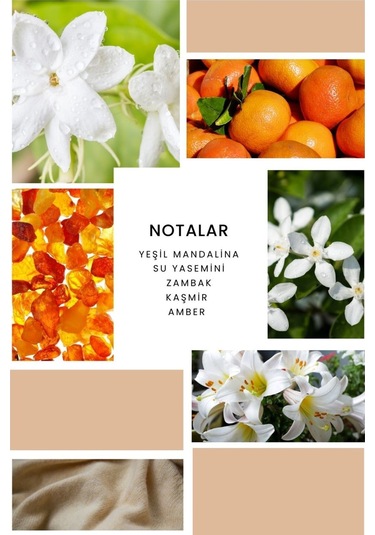 K347x2 2 Adet Kadın Parfüm Helen 100 Ml Fresh