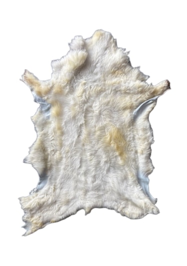 Gerçek Uzun Tüylü Koyun Postu - Naturel Uzun Tüylü Koyun Postu - Doğal Post Paspas Beyaz