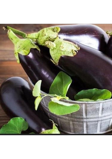 Ata Tohumları Geleneksel Kebablık Mangallık Antep Balcan Patlıcan Tohumu 70 Tohum