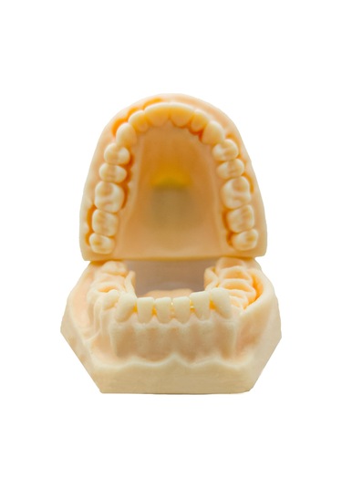 Barışhan Medikal Silikon Çene Diş Dikiş Modeli Ortodontik Alt Üst Çene Periodontal Sütür Eğitim Modeli-3