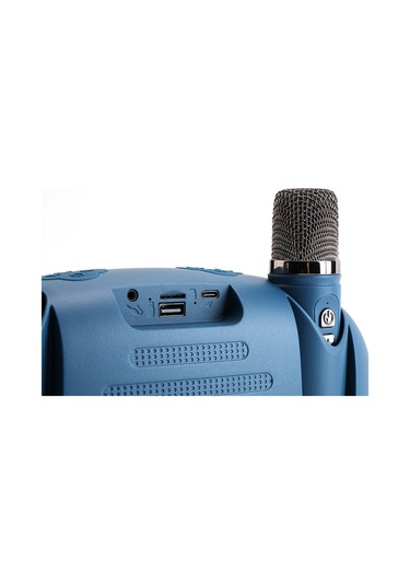 Tg Tg542dk Usb/sd/fm/bluetooth Destekli Taşınabilir 2 El Mikrofon