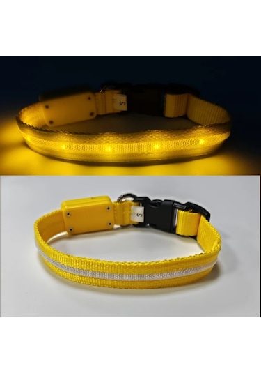Honeybeeshop 1000 Metre Görüş Mesafeli Sarı Xs Şarj Edilebilir Gece Yürüyüşleri İçin Köpek Ve Kedi Tasması Karanlıkta Parlayan Tasarım Altın