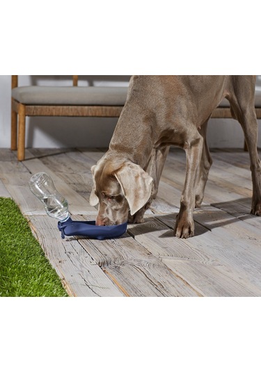 Su Şişesi, Evcil Hayvan İçin