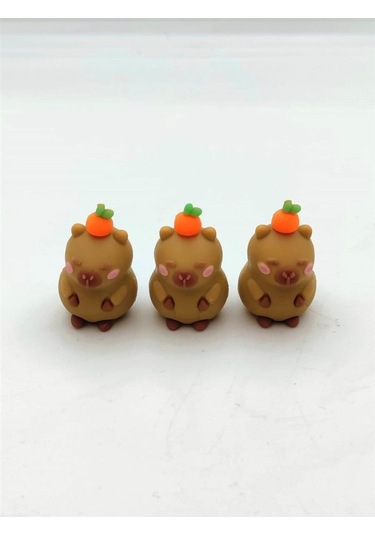 Abc Capy Bara Silgi 3 Lü