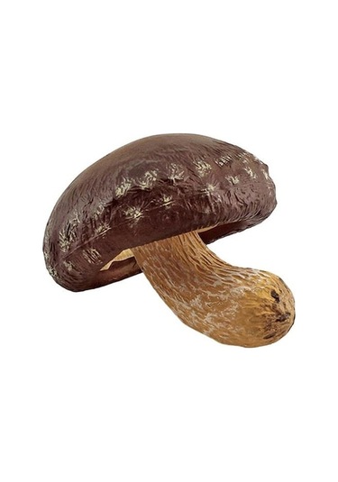 Novahub Mantar Heykelcik Renkli Dekoratif Zarif Güzel Minyatür Süs Masa Dekor A A