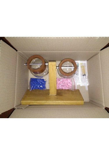 Topraksız Bitki ve Çiçek için Ahşap Ayaklı Cam Vazo