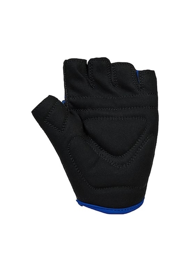 Asistan Cape Gl 200 Kısa Parmak Eldiven Large - Mavi