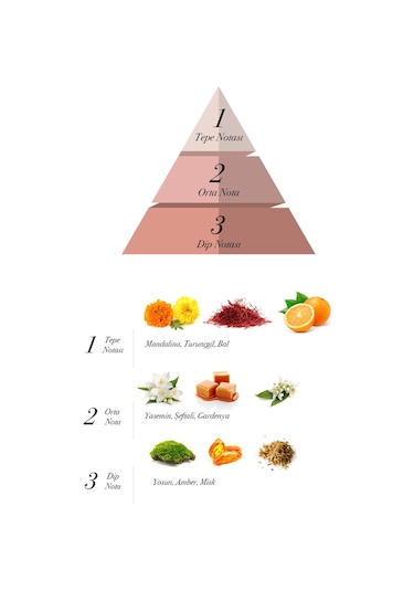 Prova Backa Red Vouge EDP Çiçeksi Kadın Parfüm 120 ML