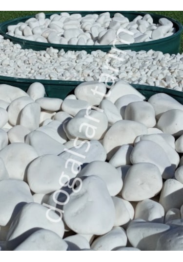 Beyaz Dolomit Taş 10 Kg 6-10 cm Dere Taşı Çakıl Taşı