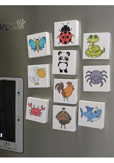 Efe'nin Hayvanat Bahçesi Seri-2 / Manyetik Eğitici Oyuncak