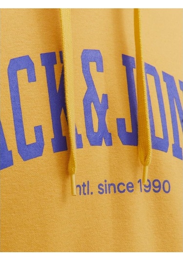 Jack & Jones Jjejosh Sweat Hood Noos Sarı Erkek Sweatshirt 000000000101863298 Sarı Jack & Jones Jjejosh Sweat Hood Noos Sarı Erkek Sweatshirt 000000000101863298 Sarı