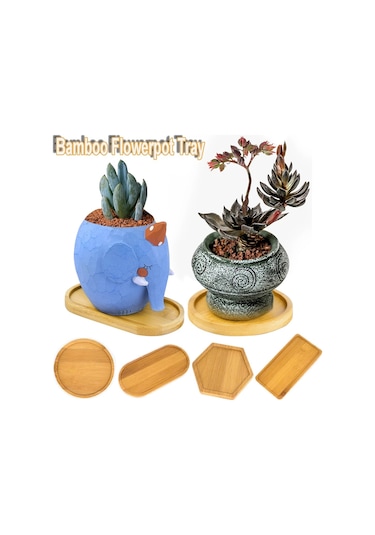 Round-9cm-pot Stander Ev Dekorasyon Succulents Bonsai Tutucu Yuvarlak Kare Altıgen Dikdörtgen Saksı Tabanı Bambu Ahşap Tepsi