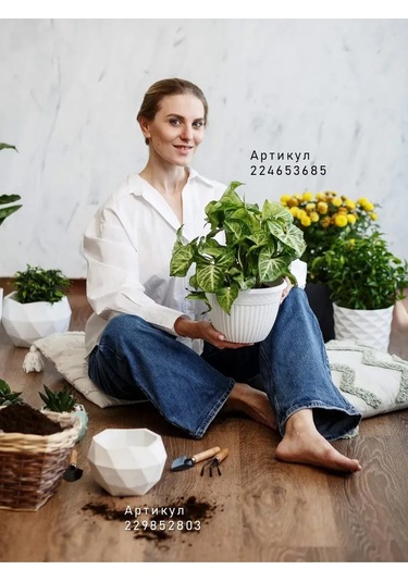 La Decoro İç Mekan Çiçekleri İçin Saksı, Çiçek Saksısı, Saksı 351230822