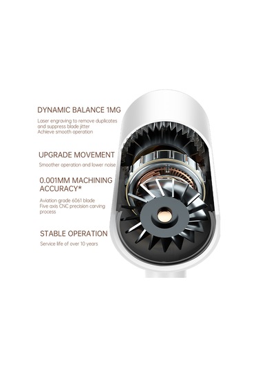 Yüksek Hızlı Elektrikli Saç Kurutma Makinesi Anion Yüksek Güçlü Salon Ev Kullanı