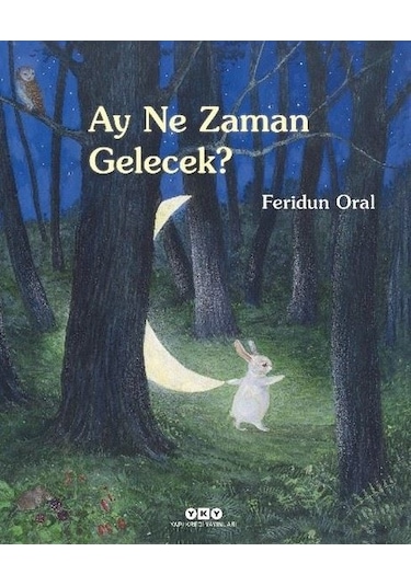 Ay Ne Zaman Gelecek? - Feridun Oral - Yapı Kredi Yayınları
