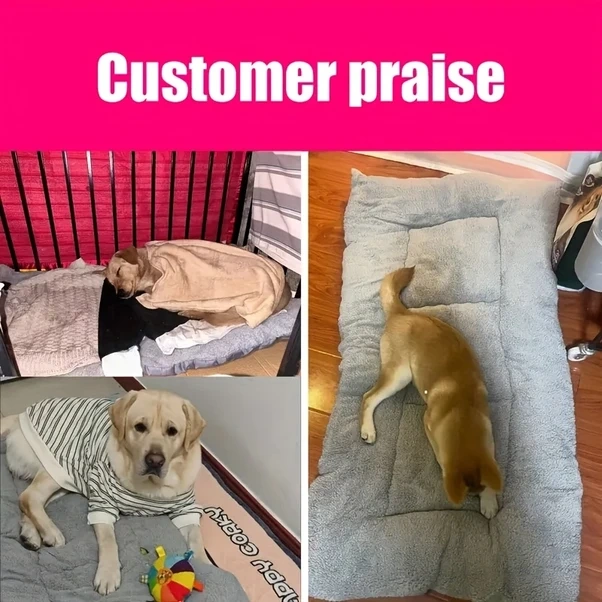 Fochsia Büyük Yumuşak Köpek Yatağı Kedi Minderi Gri, Kalın Ve Konforlu Polyester Evcil Hayvan Pedi