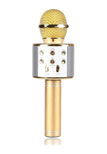 Karaoke Mikrofon Dahili Hoparlörlü Usb Flash Destekli Ws-858 Gold