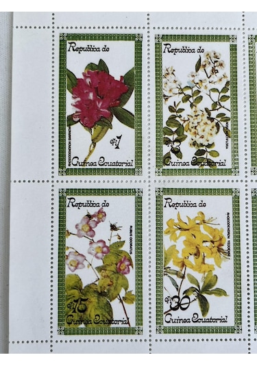 Çiçek Temalı Ekvator Ginesi Damgasız 8'li Blok Pul