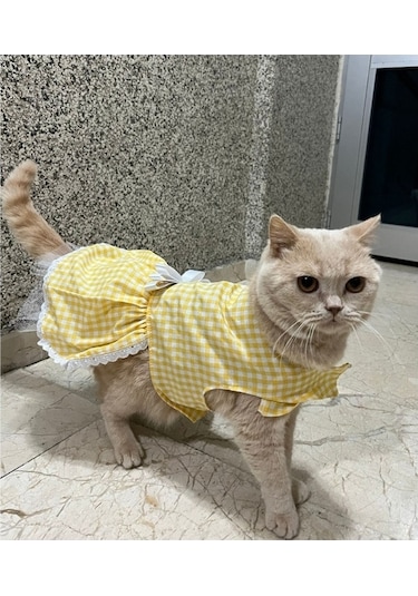 Sarı Beyaz Kareli Fiyonklu Kedi Köpek Kıyafeti Elbisesi Medium/m