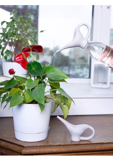 Arrıchi İklimlendirme İç Mekan İçin Sulama Kabı 224342132