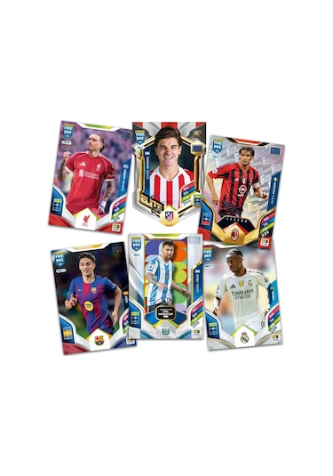 Panini Fifa 2026 Metal Kutulu Futbolcu Kartları 24 Core 4 Le 1 Coin 1 Golden Kart - Siyah Pembe