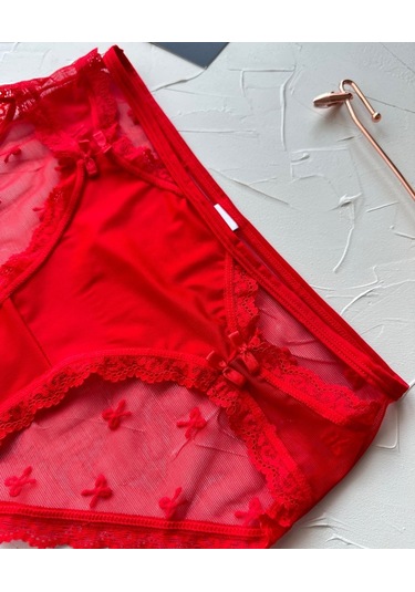 Arya Japon Style Arkası Tül Cut-out Dantel Detaylı Cheeky Külot/s Kırmızı