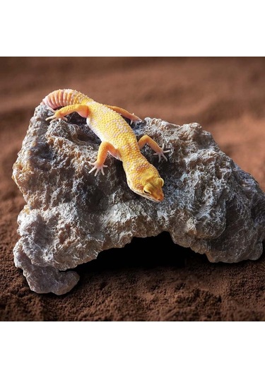 Sones L Sürüngen Simülasyonu Kayalar Saklanma Evi Kaplumbağa Şezlong