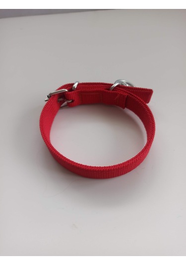 Kozaklı Küçük Irk Köpek Tasması Kırmızı 50 x 2.5 CM Kırmızı